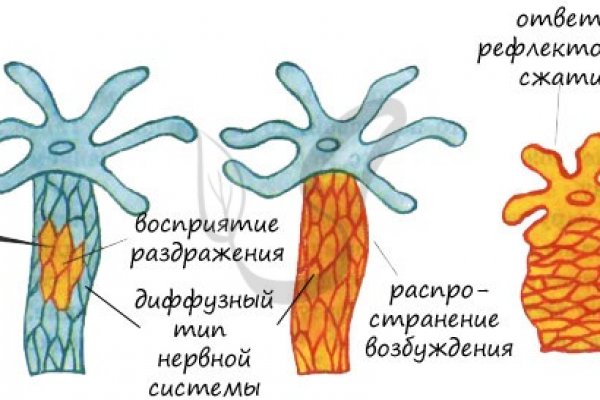 Браузер кракен