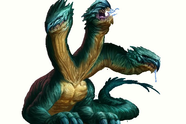 Kraken dark net
