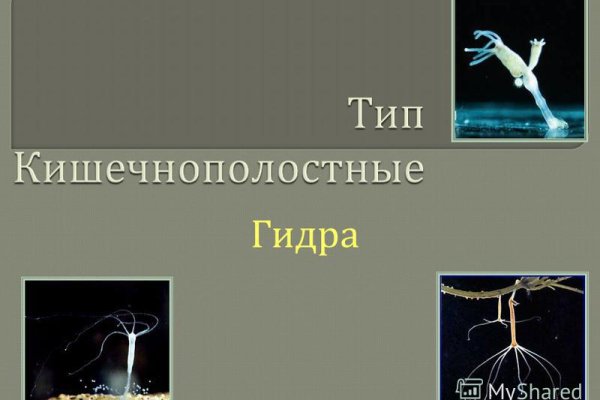 Украли аккаунт на кракене даркнет